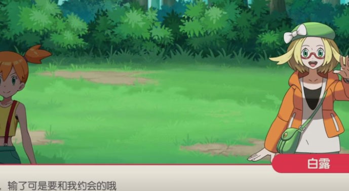 口袋觉醒VIVO版