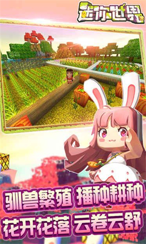 迷你世界火箭版