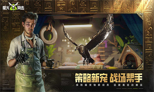 萤火突击华为版