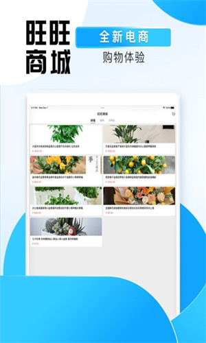 旺旺商聊App