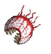 泰拉瑞亚汉化版