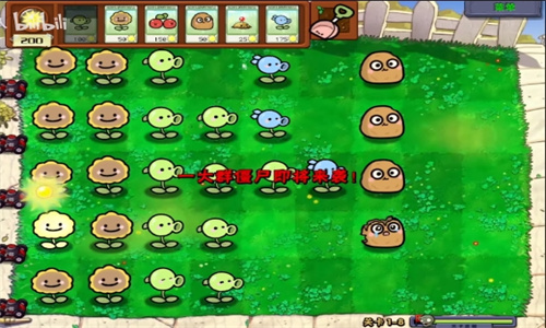 植物大战僵尸幼儿园版2025最新版