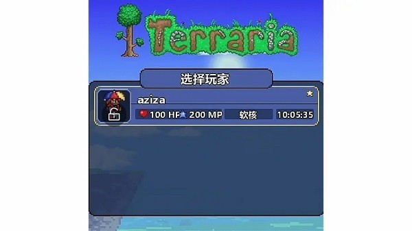 泰拉瑞亚1.4.4.9汉化版2025最新版