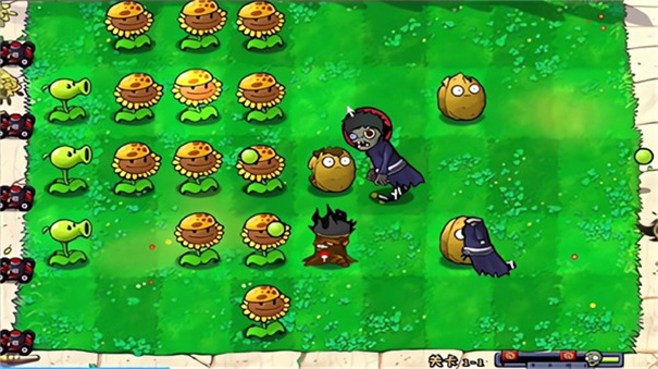 PVZ植物大战僵尸火影版