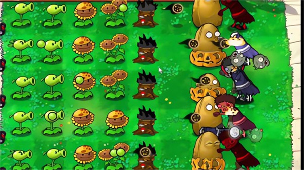 PVZ植物大战僵尸火影版