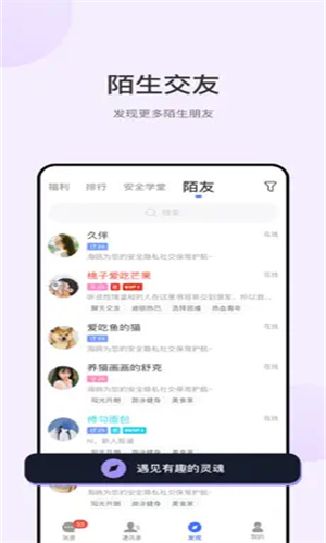 海鸥聊天