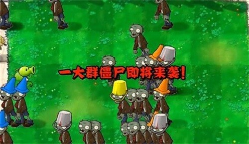 植物大战僵尸指导版