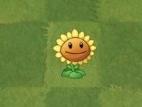 PVZ2国际汉化版