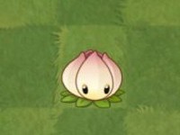 PVZ2国际汉化版