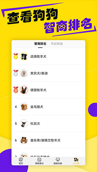 狗语翻译器中文版