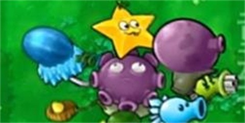 PVZ嫁接版