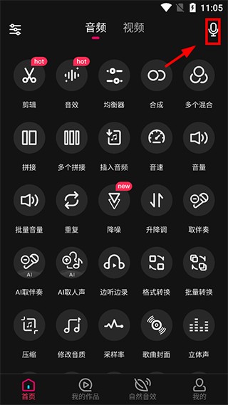 音编美声免费版