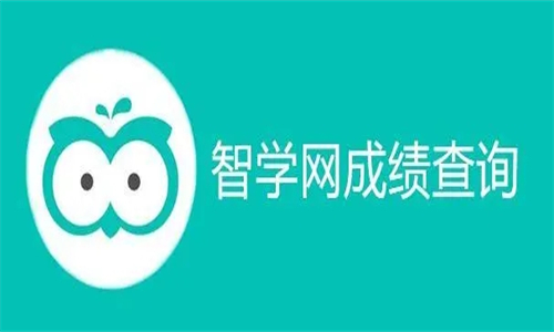 智学网查分数