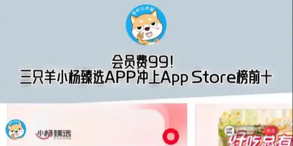 小杨臻选