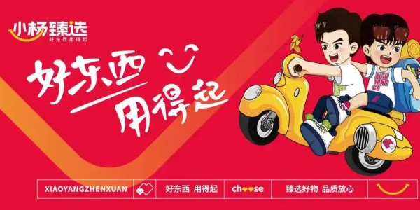 小杨臻选