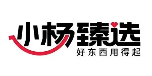 小杨臻选