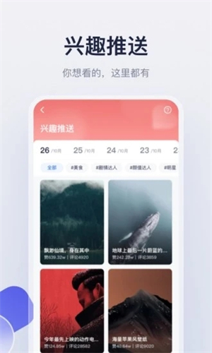 创作猫