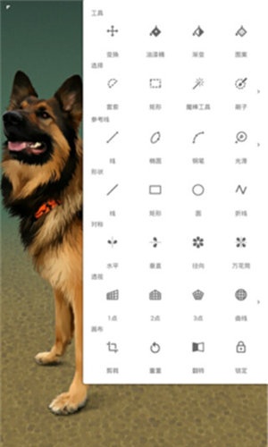 Painter安卓版
