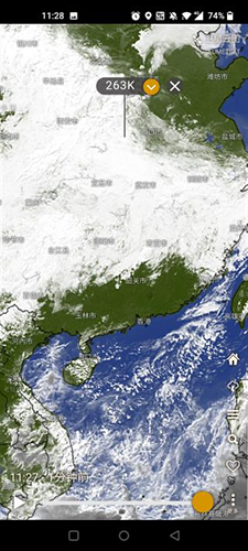 Windy气象app