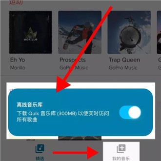 Gopro运动相机app