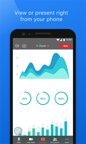Zoom Cloud Meeting