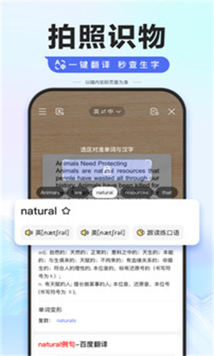 百度AI助手