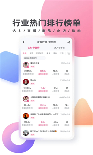 灰豚数据平台