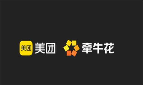美团牵牛花