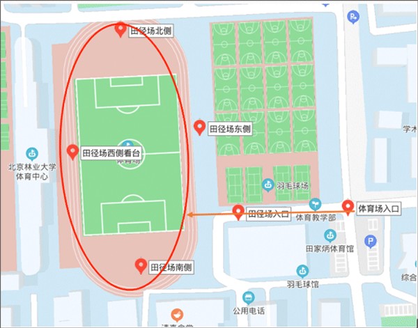 运动世界校园学生版