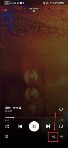 Spotify中文版