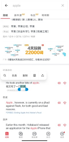 网易有道词典