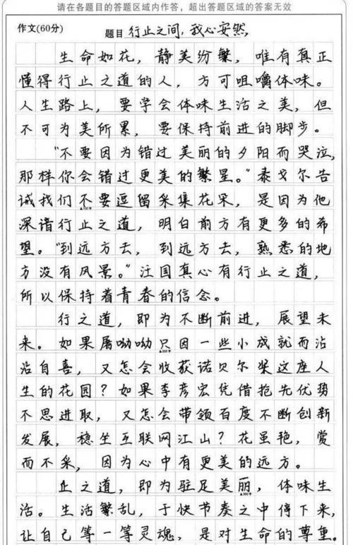 《揭秘衡水中学游戏攻略》（探索衡水中学的游戏世界，解锁成功的秘诀！）