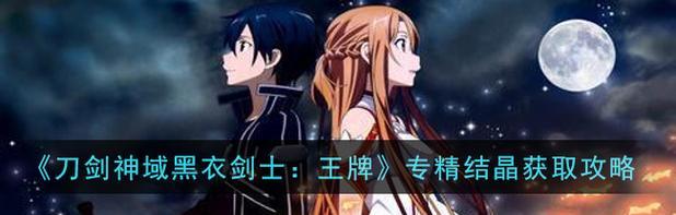 《刀剑神域黑衣剑士王牌》游戏交易攻略（掌握交易技巧轻松获得王者级道具）