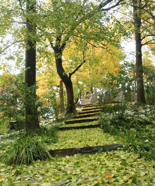 曙光攻略（发现大自然的美丽奇迹，体验曙光带来的惊喜与感动）