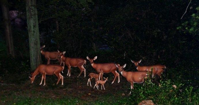 梦幻水路5人攻略（玩转梦幻水路5，打开冒险之门）