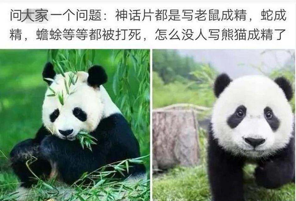 老鼠神话版本出装攻略（《王者荣耀》老鼠神话版本最佳出装推荐及技巧分享）