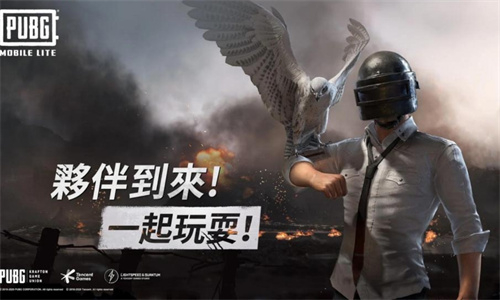 PUBG国际服轻量版