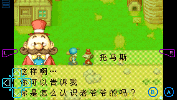 牧场物语矿石镇的伙伴们汉化版