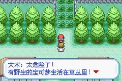 口袋妖怪火红版