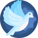 白鸽软件库官方版