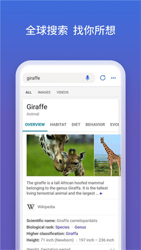 必应Bing国内版中文版