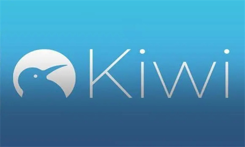 Kiwi浏览器