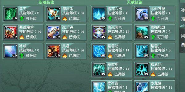 彩虹岛法师技能加点攻略（打造最强法师魔力无边）