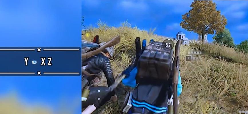 小猫咪求生技能搭配攻略（探索小猫咪如何在荒野中生存的技巧与策略）