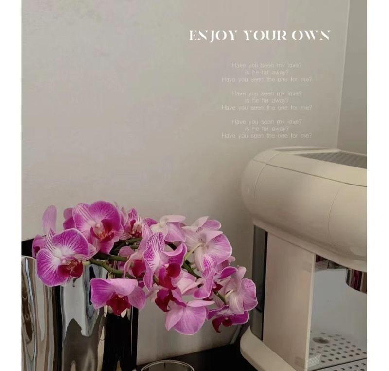 师傅刷技能点攻略技巧（高效提升技能点的秘诀，让你成为游戏中的绝对强者）