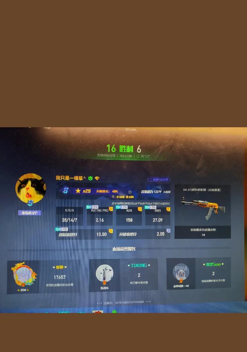 《完美世界平台如何登录完美对战平台》（教你轻松登入畅玩CSGO）