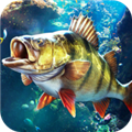 欢乐钓鱼大师单机版