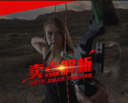 狩猎动物弓箭技能加点攻略（掌握这些技巧，成为顶尖猎人！）