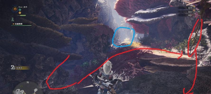 怪物猎人猫技能攻略（解锁更强大技能，让猫咪伙伴助你一臂之力）