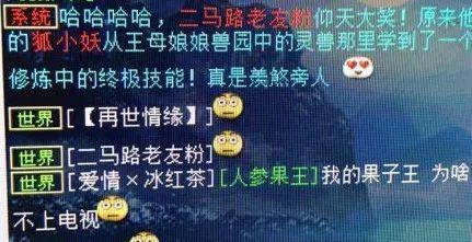 《大话2园子刷技能攻略》（快速提升角色技能，成为顶级强者！）